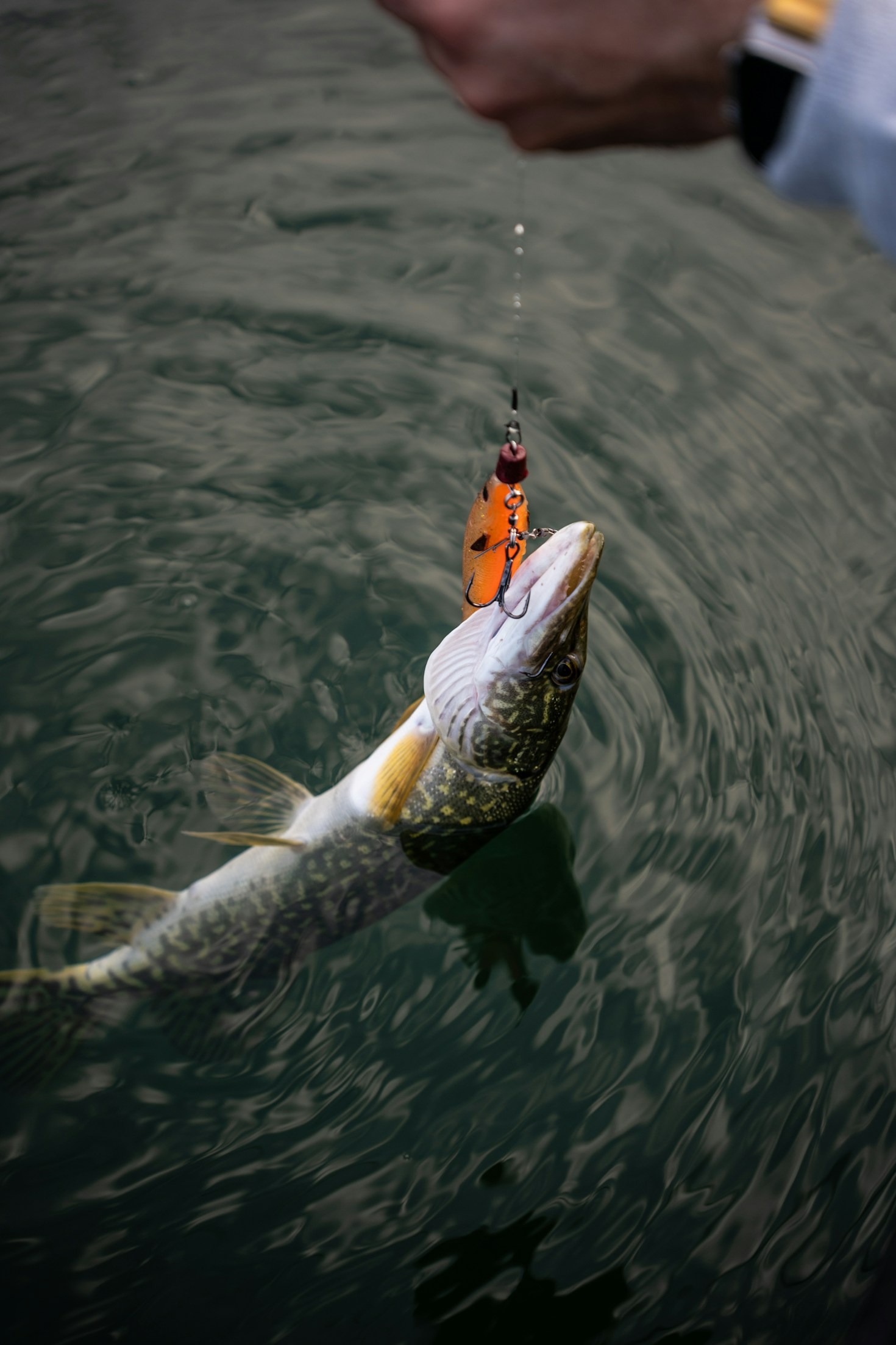 Top Tips For Fishing In Murky Water